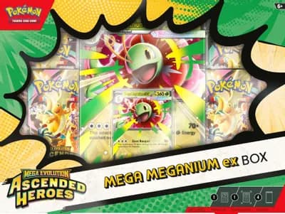 SV Ascended Heroes — Mega Meganium ex Box